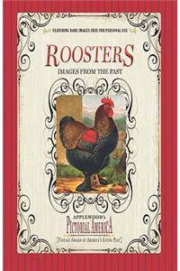 Roosters (Pictorial America)