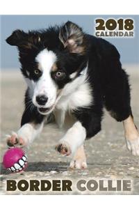 Border Collie 2018 Calendar