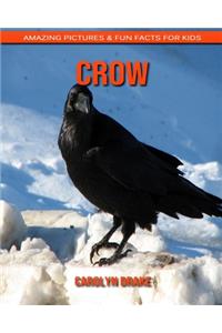 Crow