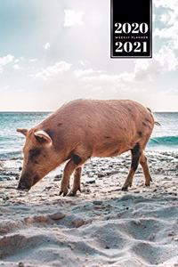 Pig Pork Piglet Farming Farmer Week Planner Weekly Organizer Calendar 2020 / 2021 - Tropical Coast