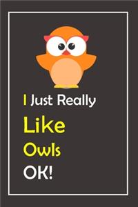 I Just Really Like Owls, OK !