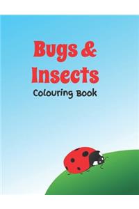 Bugs & Insects colouring book