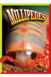 Millipedes