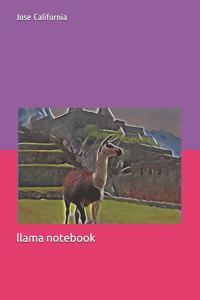 llama notebook