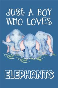 Just A Boy Who Loves Elephants