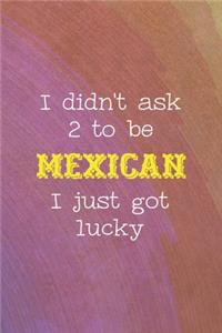 I Didn't Ask 2 To Be Mexican I Just Got Lucky