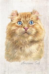 American Curl Cat Portrait Notebook