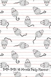 2020 - 2021 18 Month Daily Planner