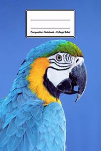 Composition Notebook - College Ruled