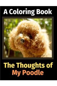Thoughts of My Poodle