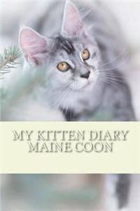 My kitten diary