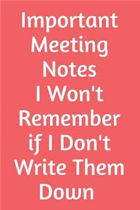 Important Meeting Notes I Won't Remember If I Don't Write Them Down: Blank Lined Journal - Office Worker Journal