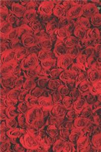 Mon Carnet de Notes: Journal intime Carnet de 120 pages Motif Roses Rouges Saint Valentin Amour Romance Voyage