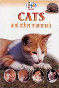 LIFE CYCLES CATS MAMMALS