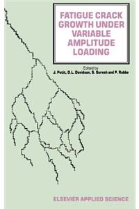 Fatigue Crack Growth Under Variable Amplitude Loading