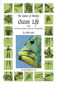 The Nature of Florida's Ocean Life