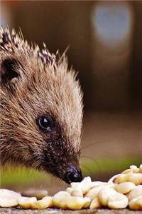 Hedgehog Eating Peanuts Journal