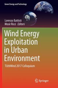 Wind Energy Exploitation in Urban Environment