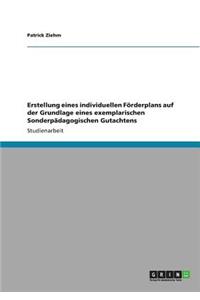 Erstellung eines individuellen Förderplans auf der Grundlage eines exemplarischen Sonderpädagogischen Gutachtens