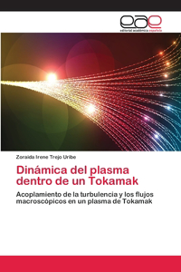 Dinámica del plasma dentro de un Tokamak