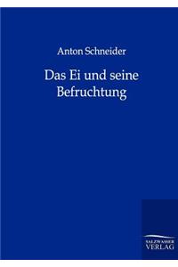 Das Ei und seine Befruchtung