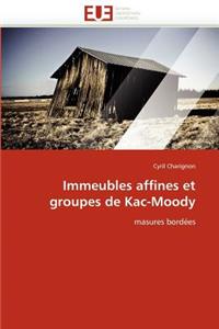 Immeubles Affines Et Groupes de Kac-Moody