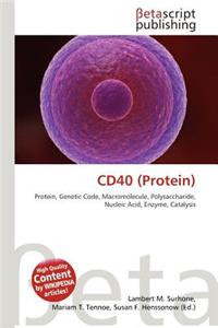 Cd40 (Protein)