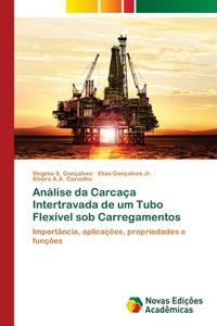 Análise da Carcaça Intertravada de um Tubo Flexível sob Carregamentos