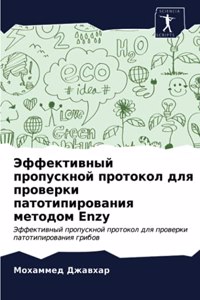 Эффективный пропускной протокол для пров
