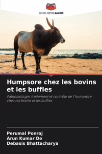 Humpsore chez les bovins et les buffles