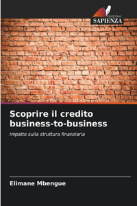 Scoprire il credito business-to-business