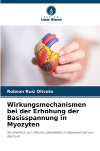 Wirkungsmechanismen bei der Erhöhung der Basisspannung in Myozyten
