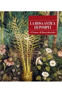 La Rosa Antica Di Pompei