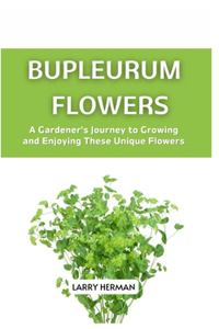 Bupleurum Flower
