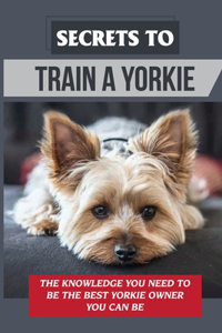 Secrets To Train A Yorkie