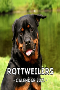 Rottweilers