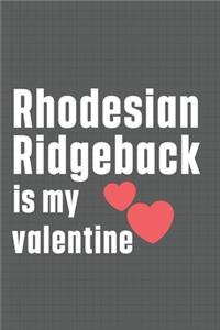 Rhodesian Ridgeback is my valentine