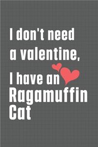 I don't need a valentine, I have a Ragamuffin Cat