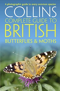 British Butterflies and Moths