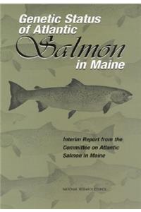 Genetic Status of Atlantic Salmon in Maine