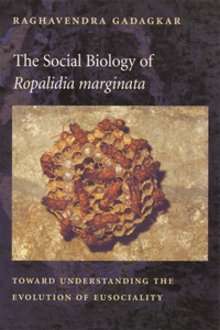 Social Biology of Ropalidia Marginata