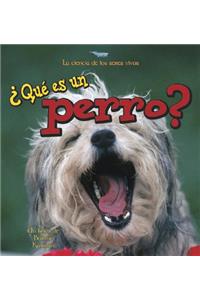 ¿Qué Es Un Perro? (What Is a Dog?)