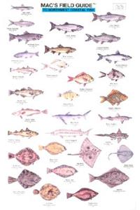 Mac's Field Guides: Northwest Coastal Fish