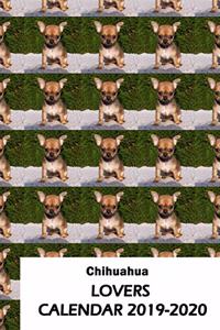 Chihuahua Lovers Calendar 2019-2020