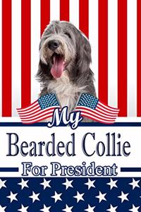 My Bearded Collie for President