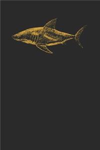 Shark Drawing