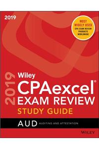 Wiley CPAexcel Exam Review 2019 Study Guide