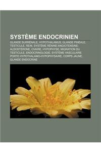 Systeme Endocrinien: Glande Surrenale, Hypothalamus, Glande Pineale, Testicule, Rein, Systeme Renine-Angiotensine-Aldosterone, Ovaire