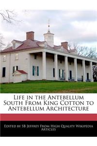 Life in the Antebellum South from King Cotton to Antebellum Architecture