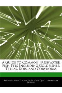 A Guide to Common Freshwater Fish Pets Including Goldfishes, Tetras, Kois, and Corydoras